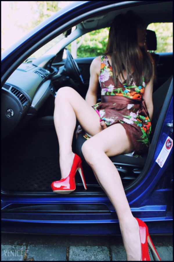 Car Sissy