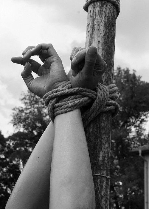 Beauty of the rope