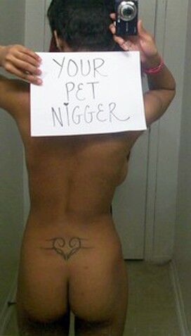 Nigger Pets for White Men