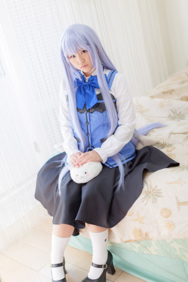 chino kafuu