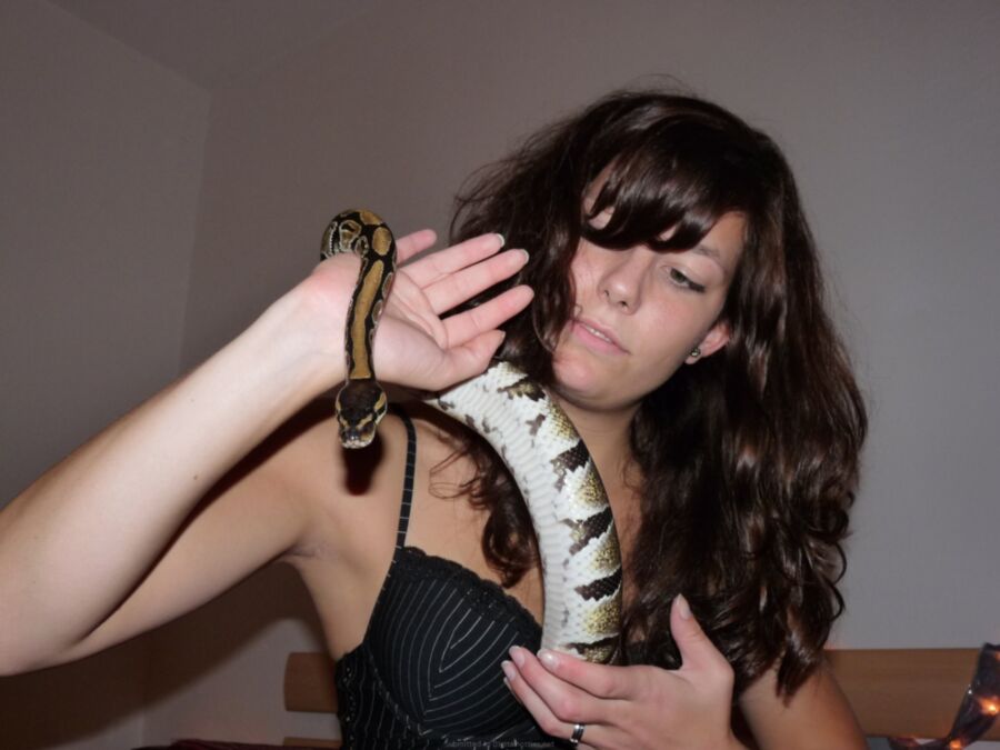 amateurs et un serpent