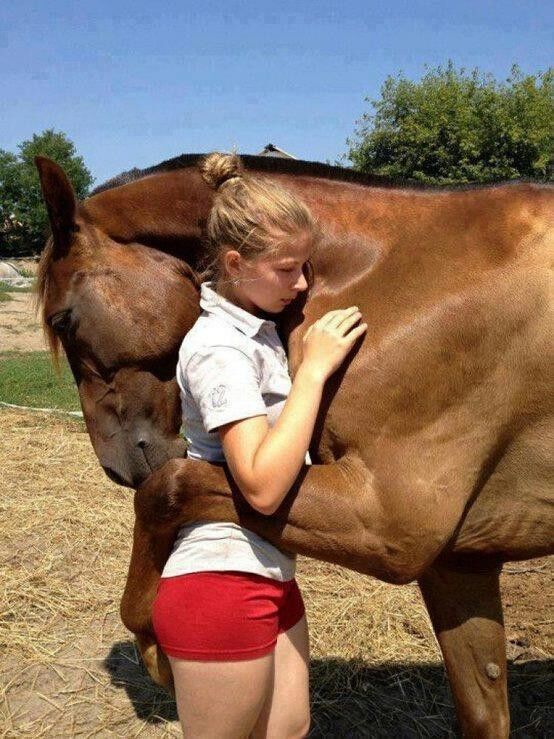 Une fille et son cheval