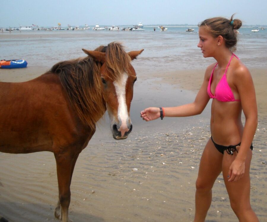 Una niña y su caballo