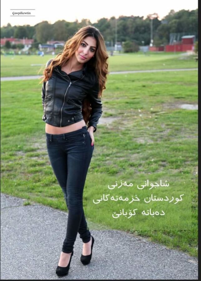 Miss Kurdistan as a Kurdish Activist