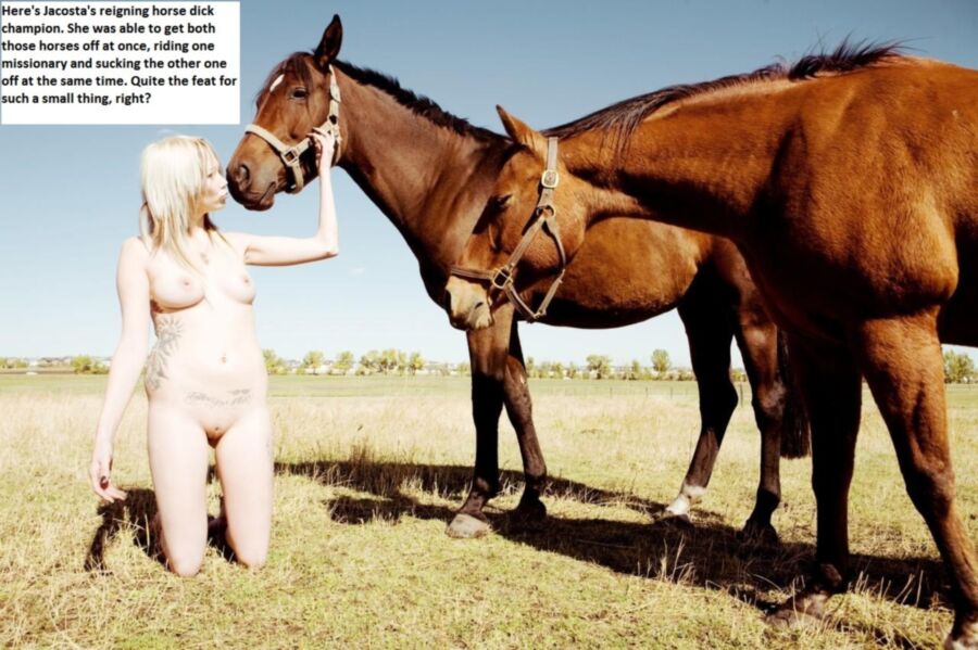 Zoófilos del caballo de la isla de Jacosta