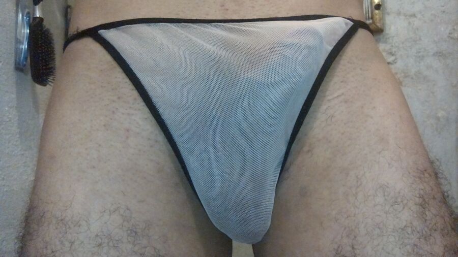 MEINE PANTY-KOLLEKTION