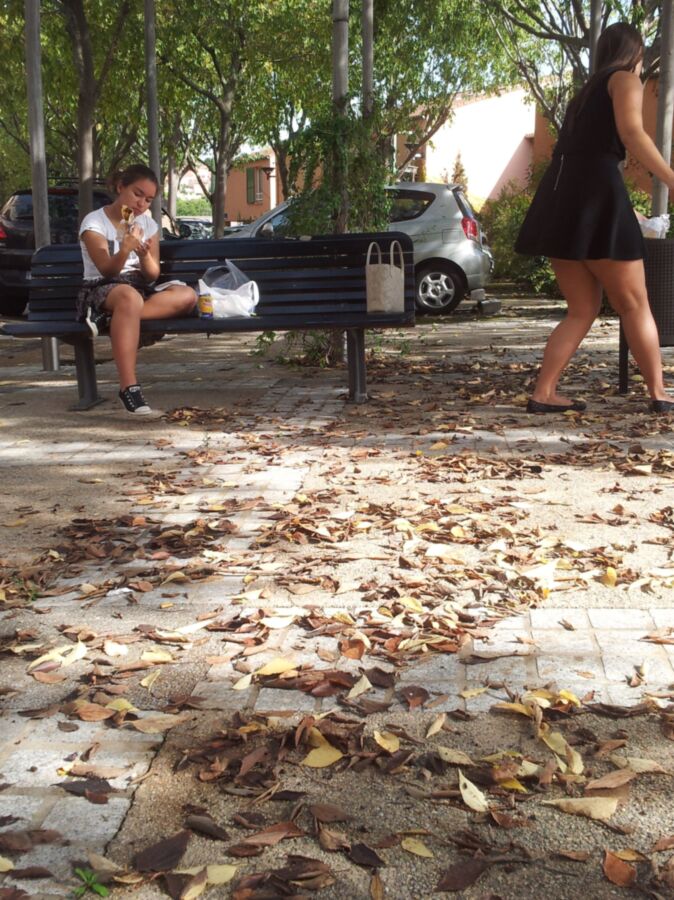 duas gatas almoçando