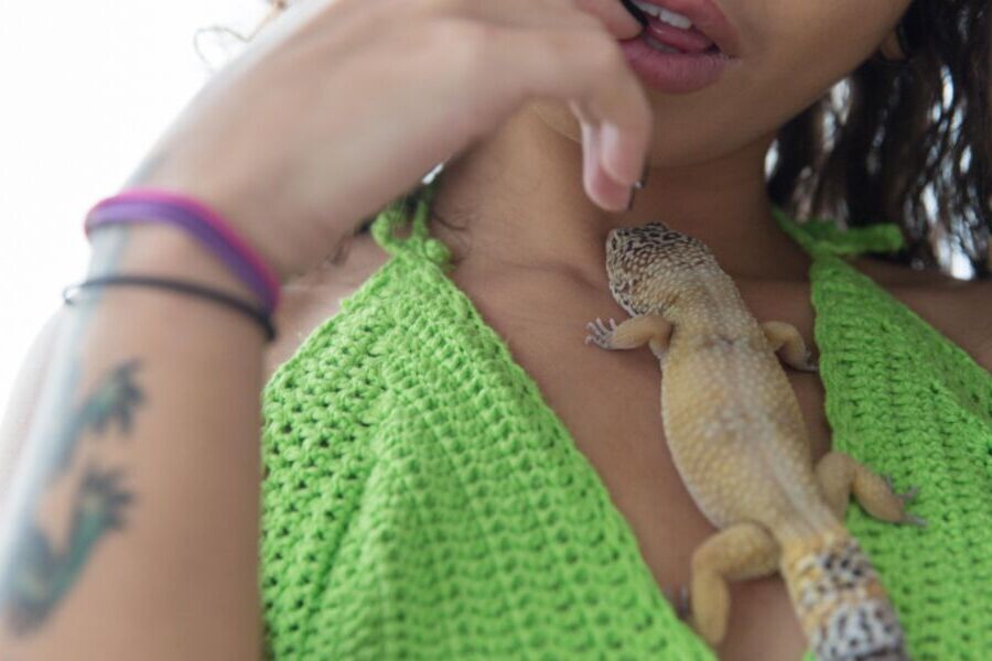 Suicide Girls - Catarina - Lenny the Lizard