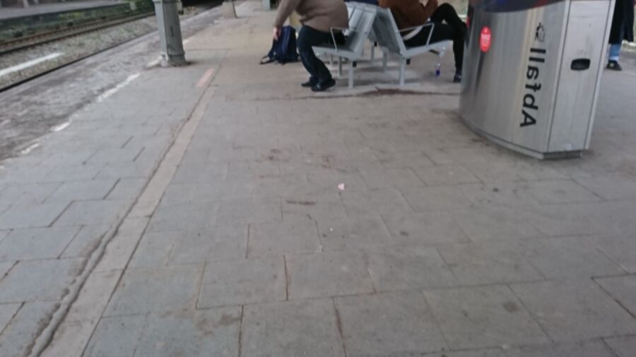 Turkish Loafer Lady