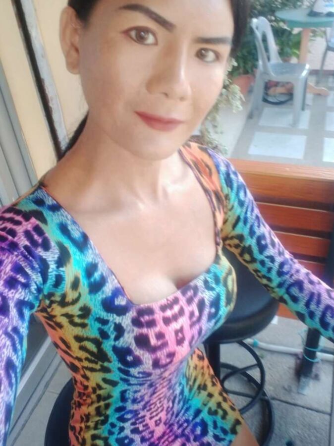 sexy thailändische freundliche Ladyboys