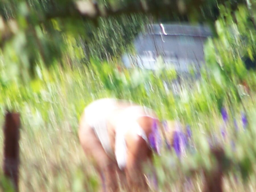 Mamie dans le jardin. 