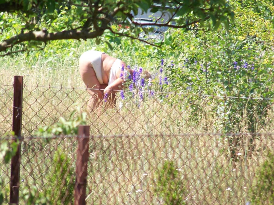 Mamie dans le jardin. 