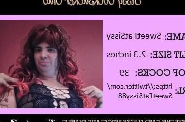 Выставлено напоказ № 179 SweetFatSissy