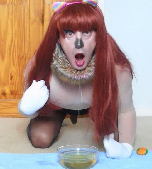 Queer sissy Sally Woofters piss Humiliation for THEFORBIDDENMAN