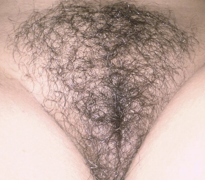 Random r/Hairy Favorites