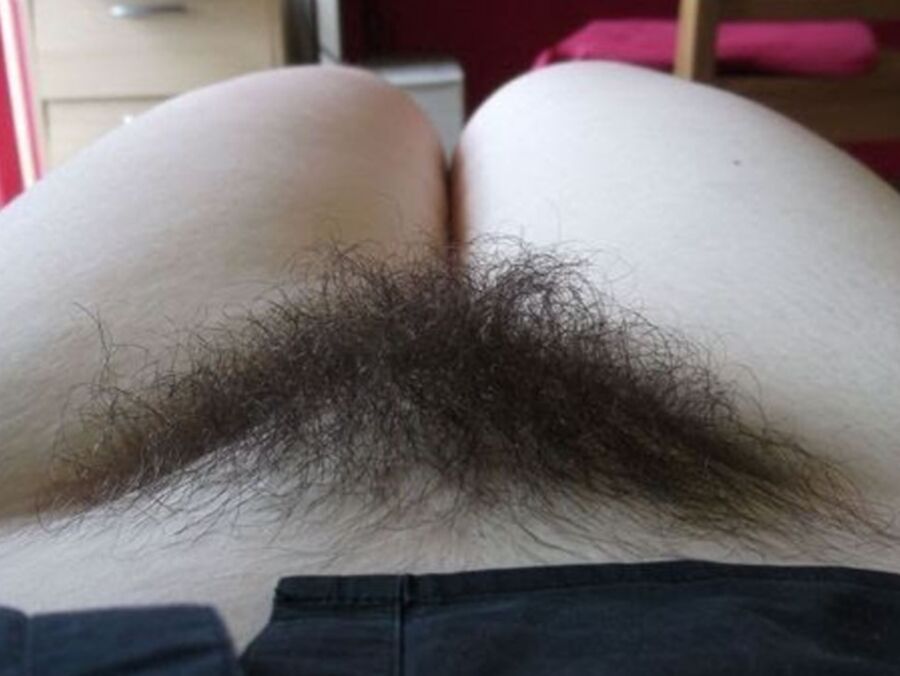 Random r/Hairy Favorites