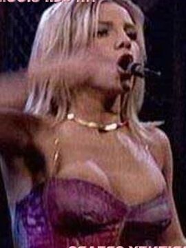 La chanteuse américaine Britney Spears nue