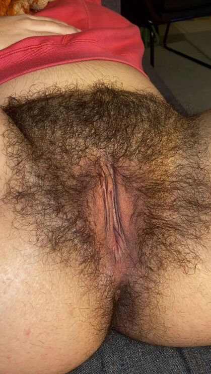 Hairy Latina Pussy