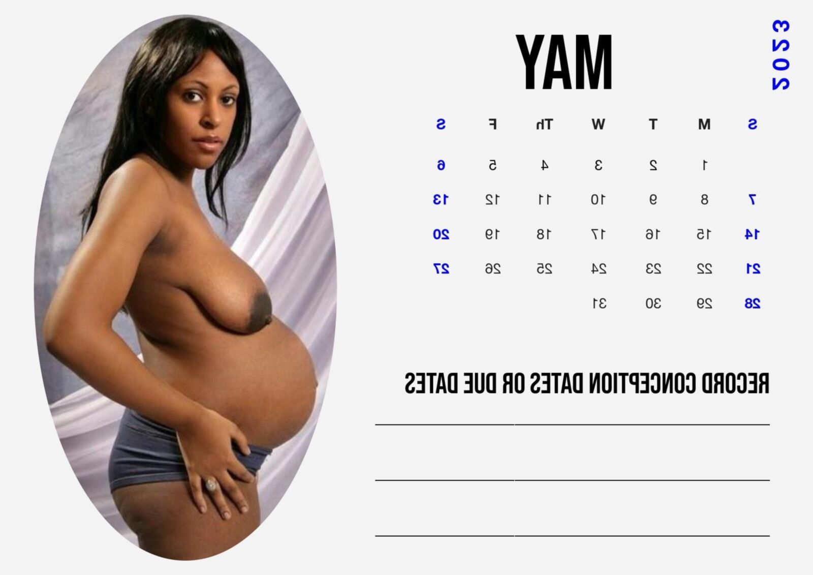 Calendario 2023 para embarazadas blancas Edición para mujeres negras