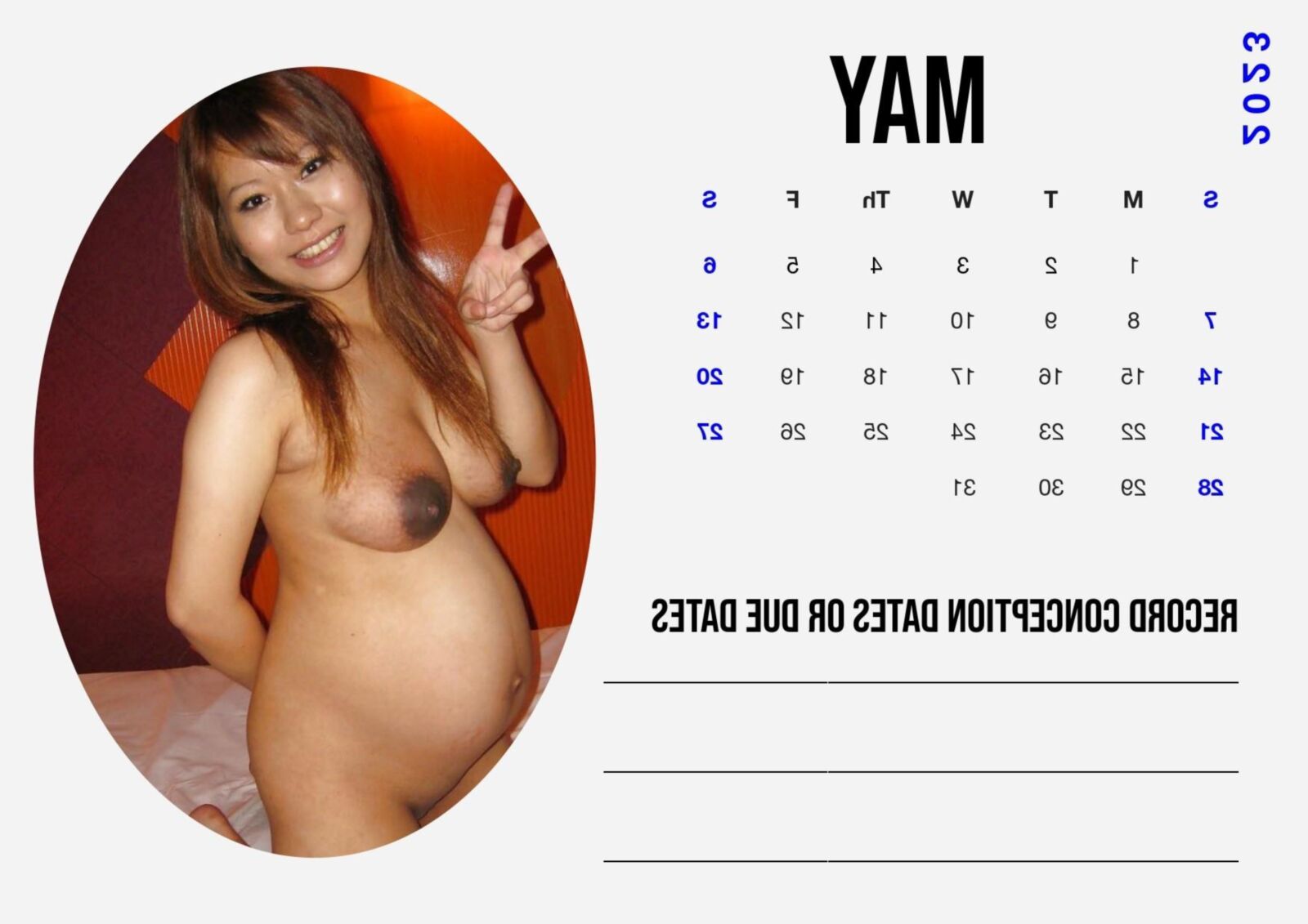 Weißer Schwanger-Kalender 2023, Ausgabe für asiatische Frauen