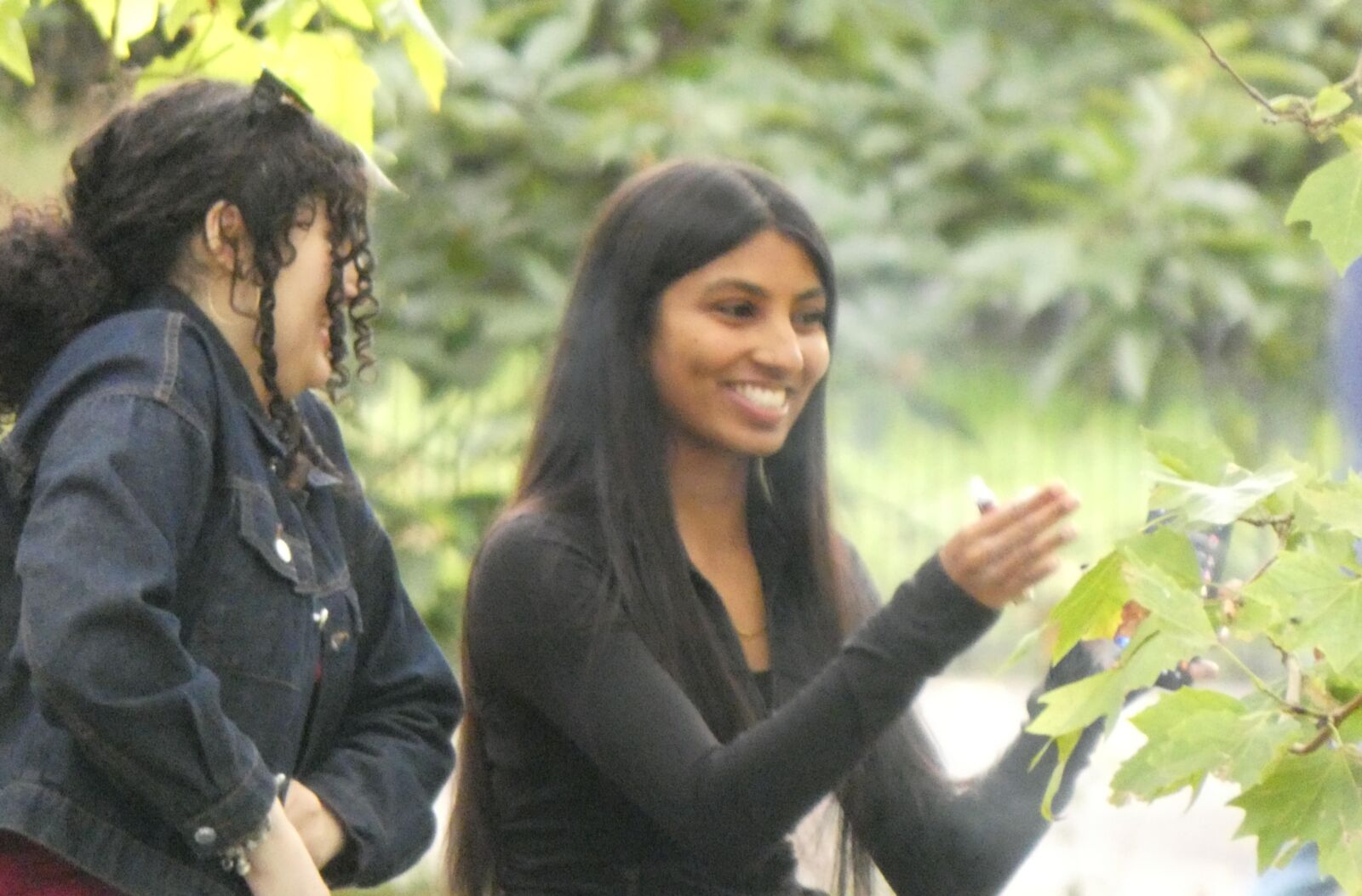 Bonita muchacha india bajo el árbol