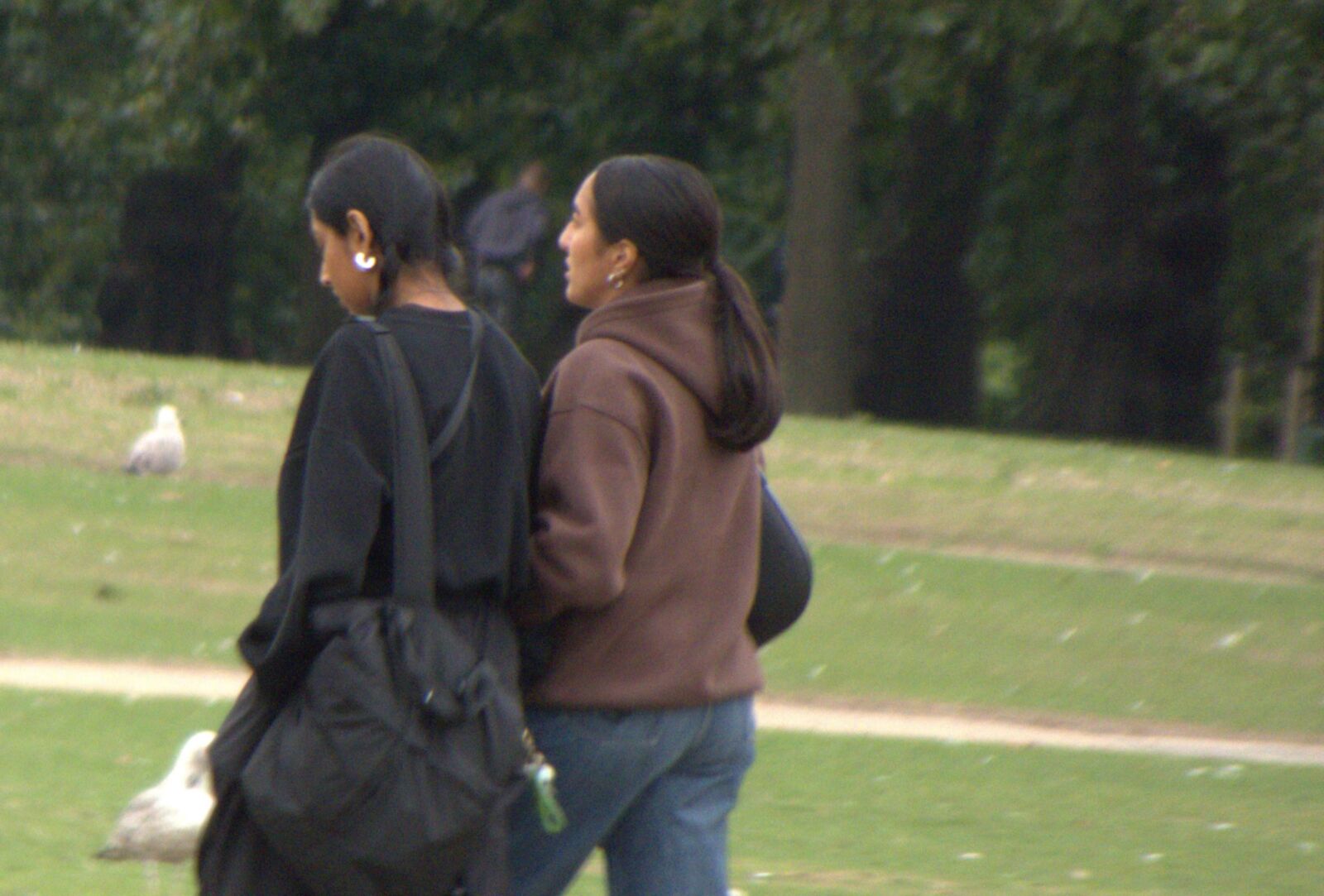 Chicas indias atractivas caminando.