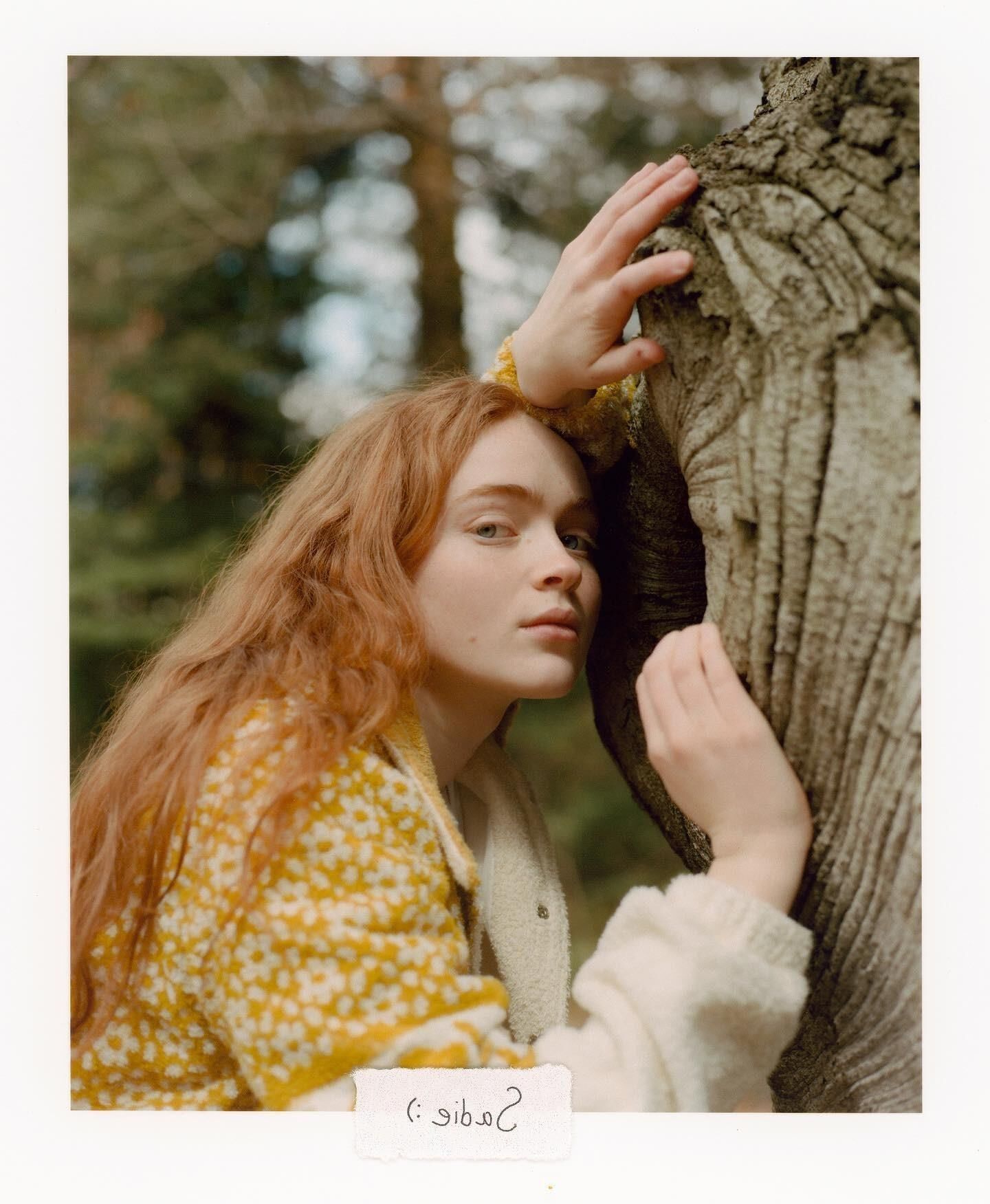 Sadie Sink Productores Fuckmeat