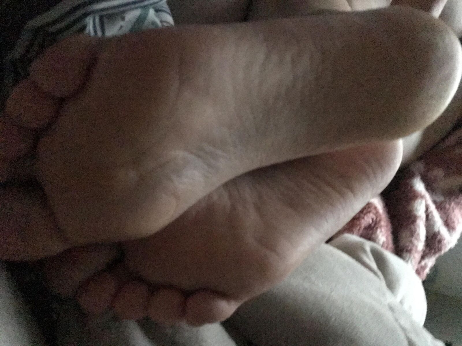 Wifes Feet and Ass Prêt pour les commentaires de la BBC PLS