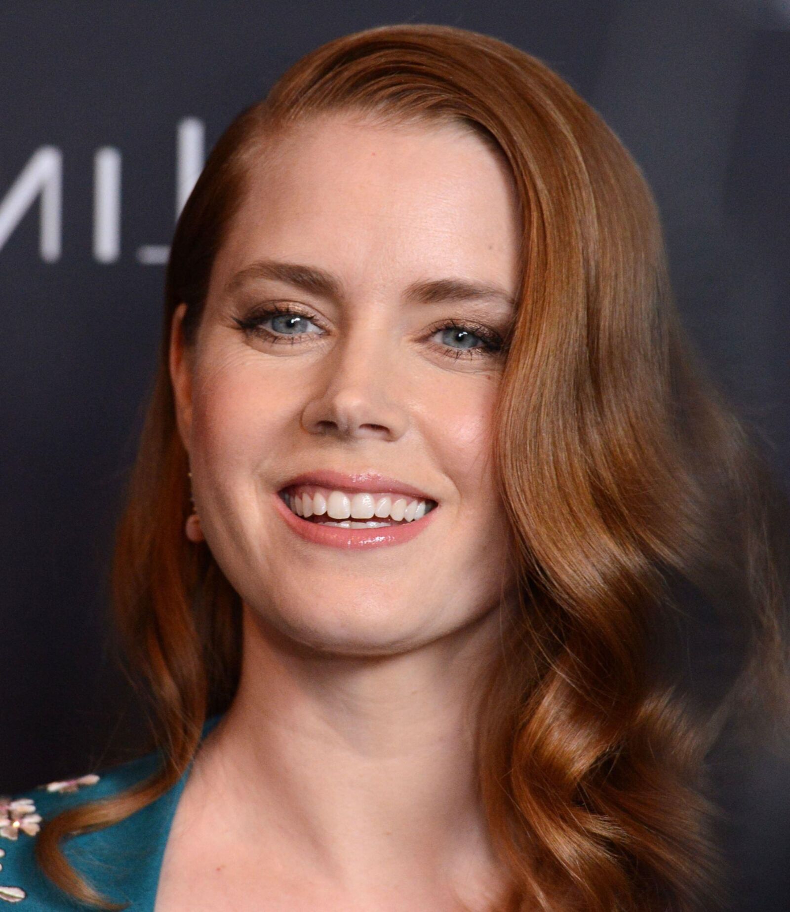 Amy Adams trägt Frocktalk -Kleid - Kostümdesigner