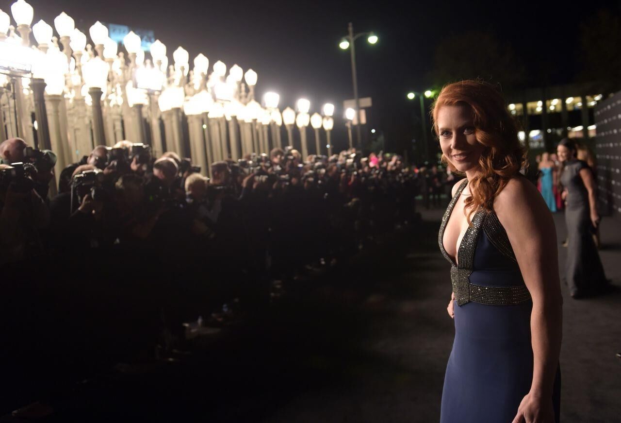 Amy Adams – LACMA Art