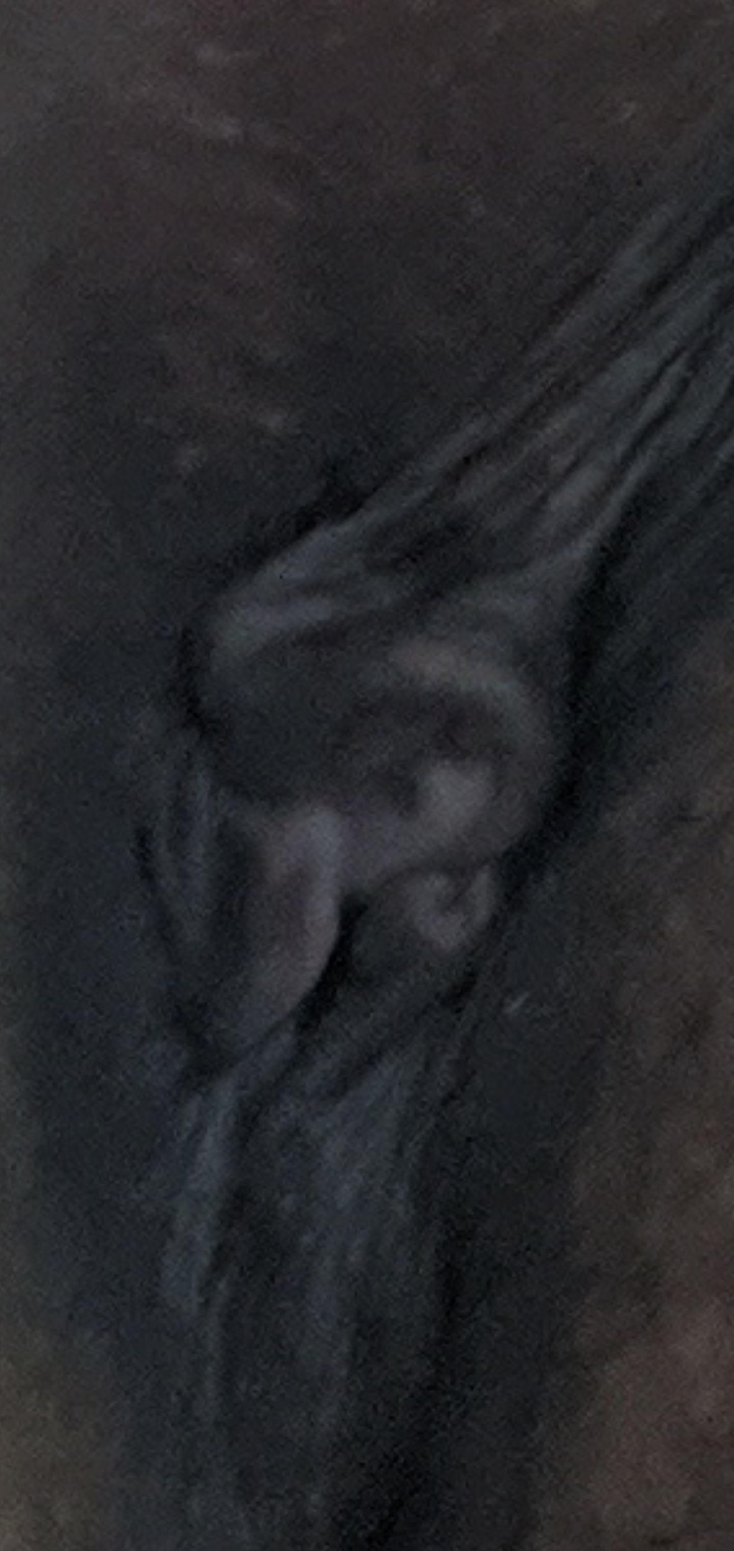 Asian Wife's Delicious Butthole Meat
