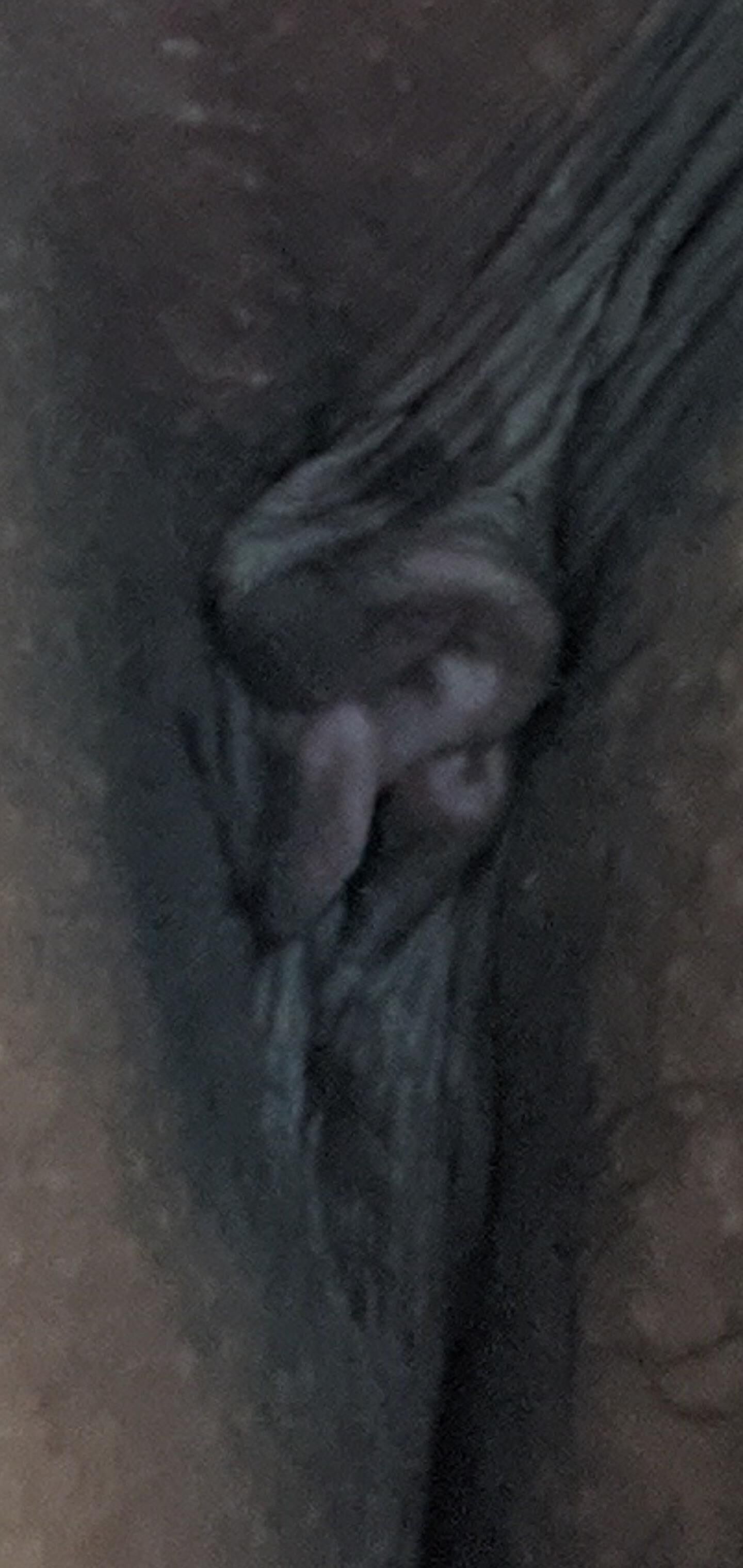 Asian Wife's Delicious Butthole Meat