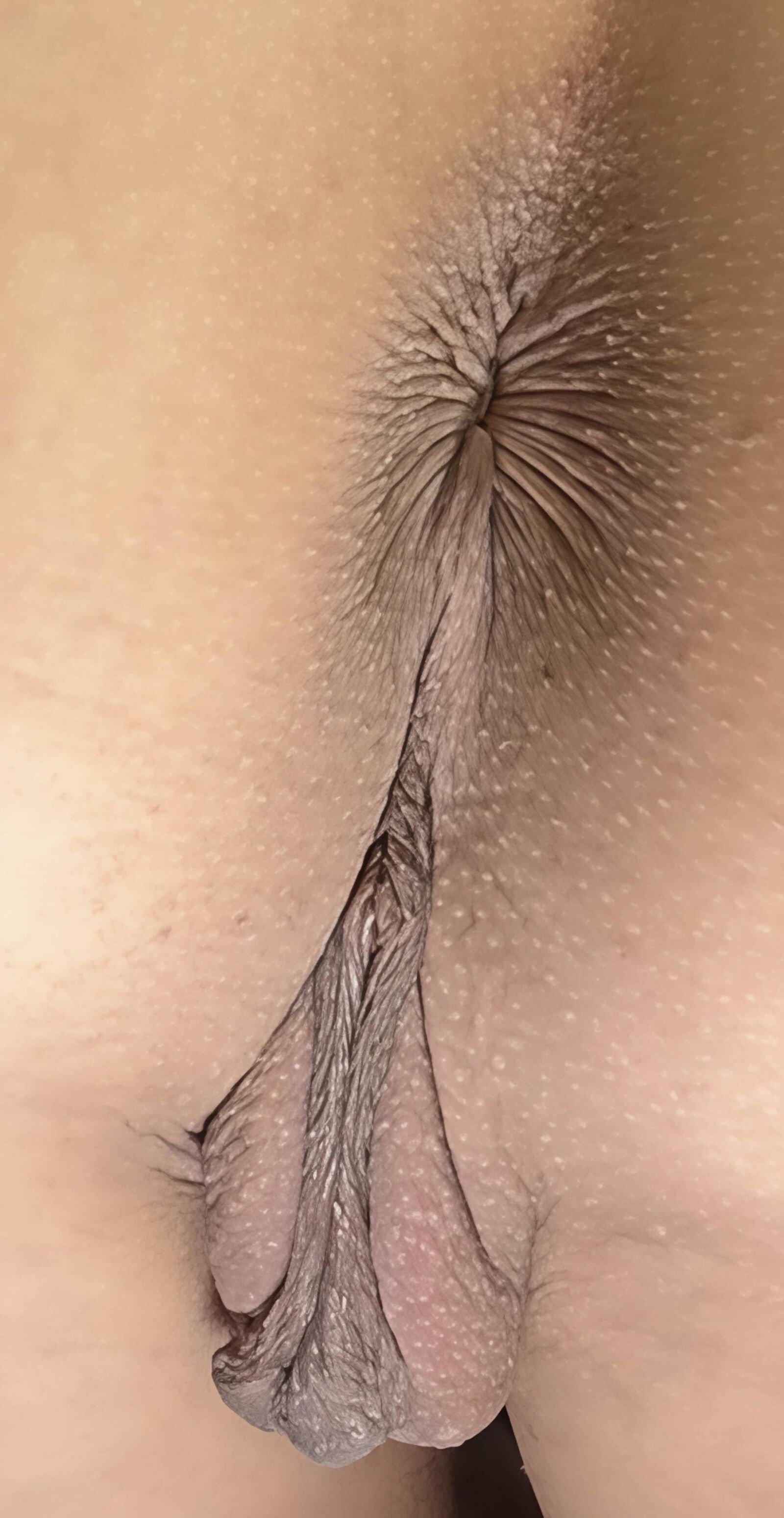 Super Closeups Asian Ass and Pussy 