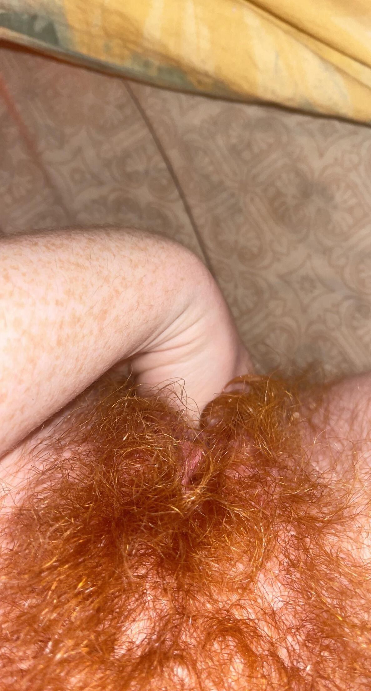 petite amie exposée