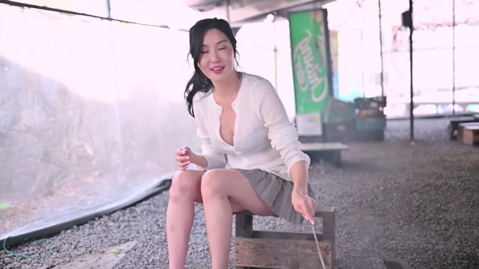 韓国の女の子が猫を点滅させます