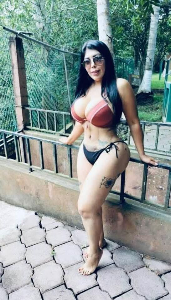 Latin stars 