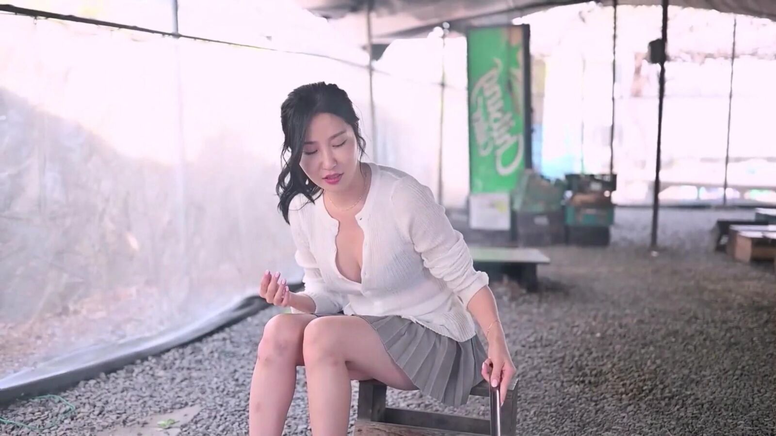 韓国の女の子が猫を点滅させます