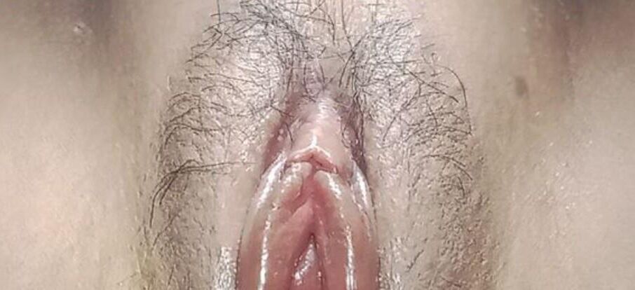 Chatte asiatique xliv