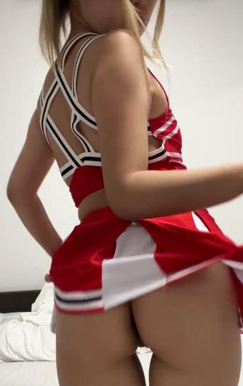 アジアのロバxxxvii