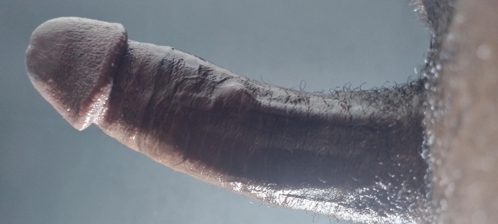 Meu pênis preto