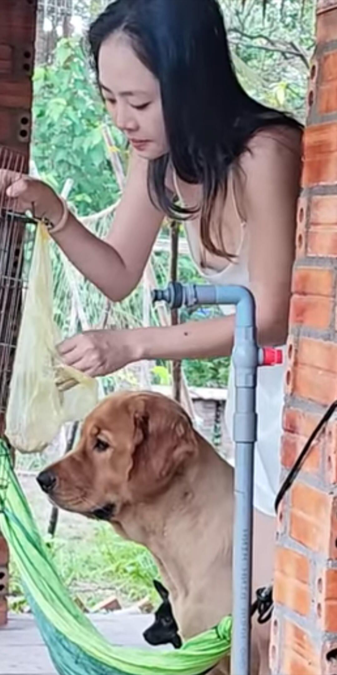 Asian outside downblouse