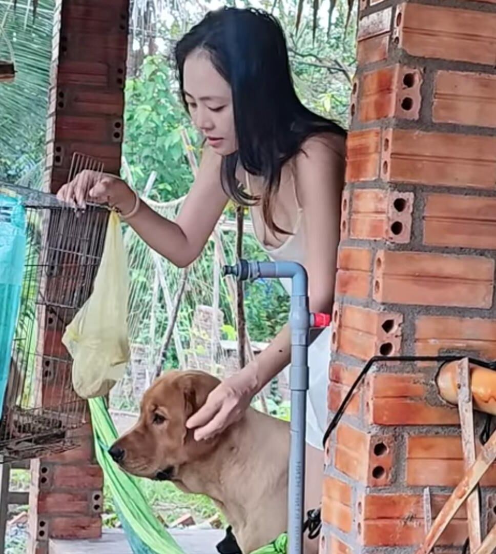 Asian outside downblouse