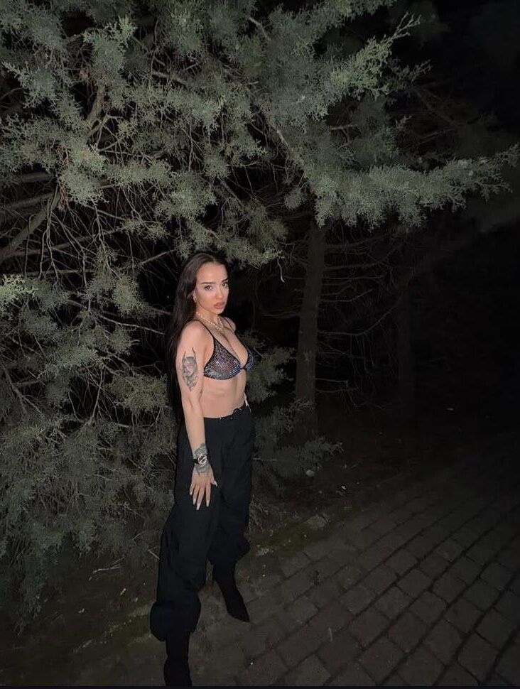 nurseli aksoy