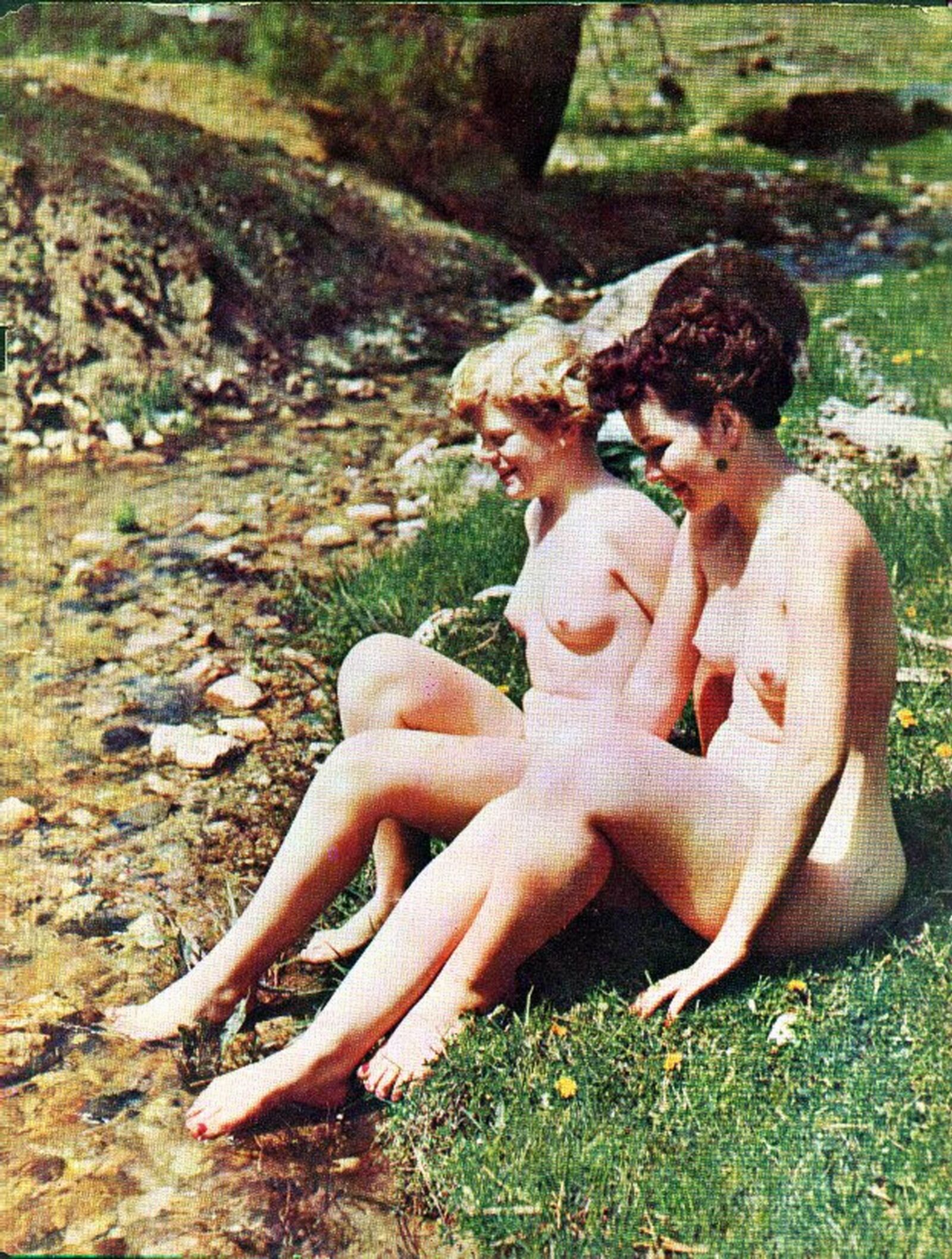 American Nudist Leader Annual N 