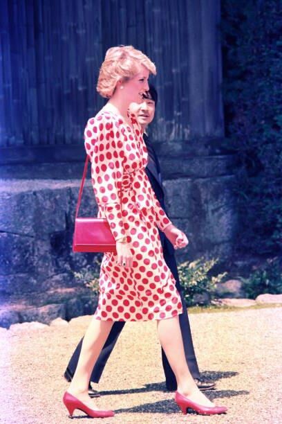 Royal Princess Diana and Naruito of Japan