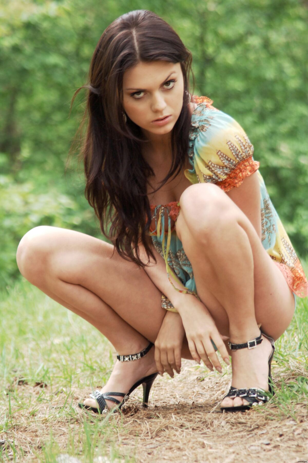 Aliona Tactus Nex ( )
