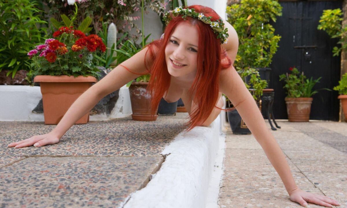 Ariel Flower garden 