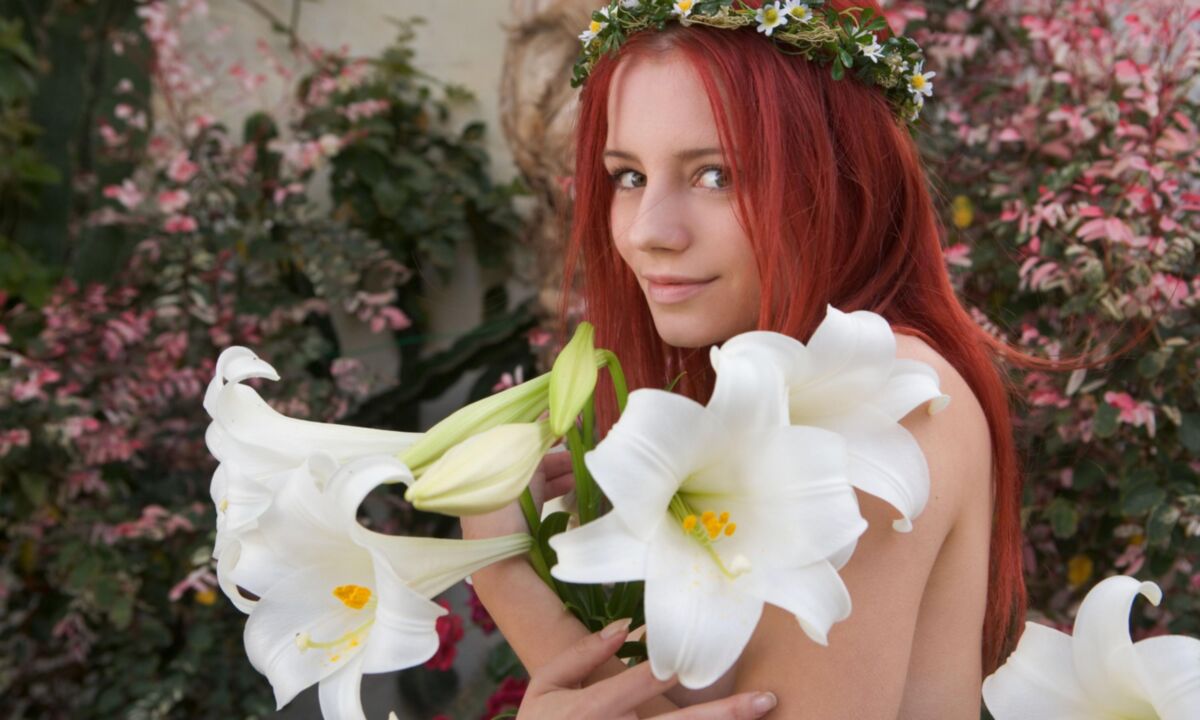 Ariel Flower garden 