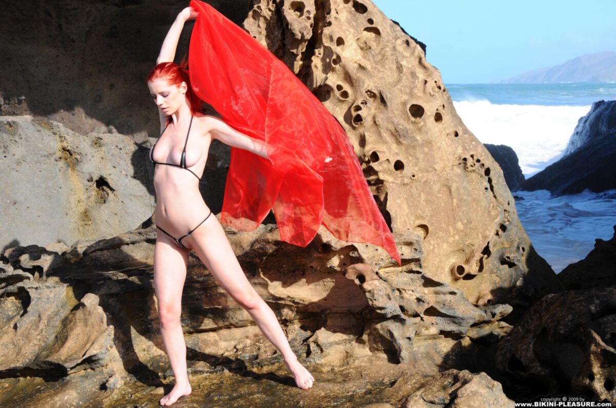 Encantadores pelirrojos Ariel Red on Rock