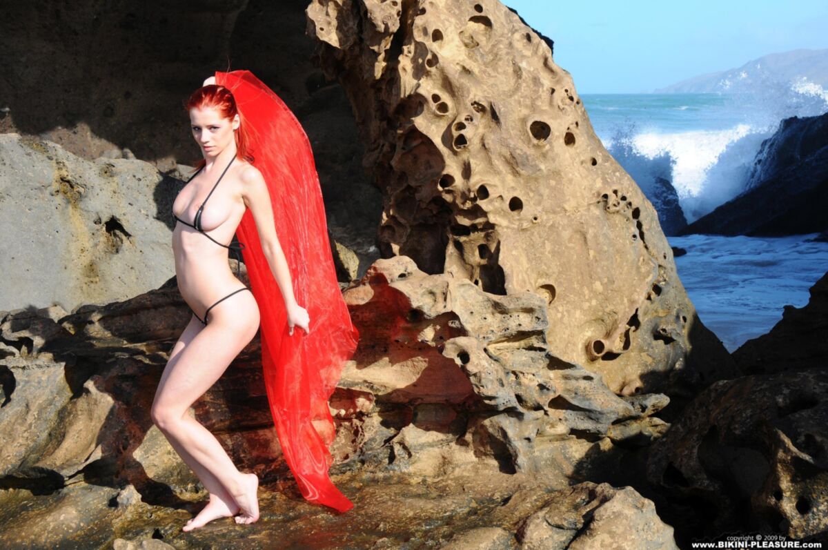 Encantadores pelirrojos Ariel Red on Rock